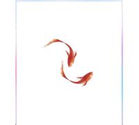 2 pcs Rosso Koi Tatuaggi Temporanei Carpa Polso Impermeabile Duraturo Adesivo Coppia Uomo E Donna