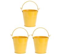 2 Pcs Scatola Latta Piccola Secchiello Di Contenitori Fiori Secchio Decorativo