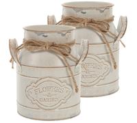 2 Pcs Secchielli in Metallo Per Fiori Porta Portafiori Decorativo