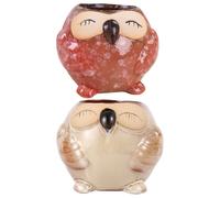 2 Pcs Vasi Da Fiori in Ceramica Arredamento Di Gufi Simpatico Vaso