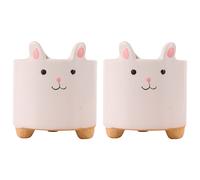2 Pcs Vasi Per Piante Da Interno Vaso Porta Simpatico Di Fiori Graziosi