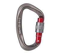 2 pezzi 25KN D-shape moschettone professionale vite di bloccaggio cancello arrampicata discesa in corda doppia attrezzatura rapida strumenti EDC for esterni(GRAY COLOR)