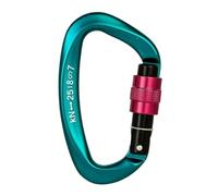 2 pezzi 25KN D-shape moschettone professionale vite di bloccaggio cancello arrampicata discesa in corda doppia attrezzatura rapida strumenti EDC for esterni(Black)