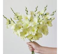 2 pezzi/6 pezzi 55cm Fiori di seta artificiali di narciso e magnolia, adatti per la decorazione di casa, soggiorno, matrimonio, tavolo da pranzo, tema romantico, San Valentino, regalo, compleanno, cer