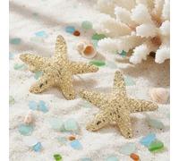 2 pezzi Accessori per capelli da donna serie oceano, fermagli per capelli con stelle e stelle marine finte di perle, accessori per capelli, forcine Tagli UnicaAnimale,GraficoFerro