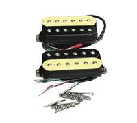 2 pezzi Alnico 5 Humbucker Pickup Double Coil Pickup for chitarra elettrica manico e ponte Zebra Color