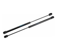 2 Pezzi Auto Bagagliaio Molle A Gas, per Smart Fortwo 450 1998-2007 Auto Baule Molle A Gas Pistoni Portellone Ammortizzator Barra