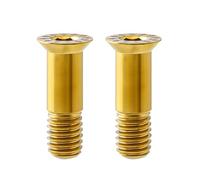 2 pezzi biciclette dietro il deragliatore disco ruota viti fissate rullo per fari posteriori per mountain bike, guida ruota ruota accessori accessori per ciclo ingranaggi strumenti di manutenzione