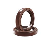 2 pezzi di guarnizione in gomma fluorurata con telaio in FKM, diametro interno 15 mm, 16 mm, 17 mm, 18 mm, 19 mm, diametro esterno 21-47 mm, spessore 4-10 mm.(19X45X10)