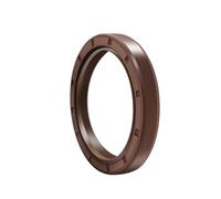 2 pezzi di guarnizione in gomma fluorurata con telaio in FKM, diametro interno 20 mm, 21 mm, 22 mm, 23 mm, 24 mm, diametro esterno 26-60 mm, spessore 4-12 mm.(20X30X5)