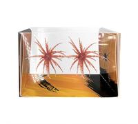 2 pezzi di riccio marino Soft Bait, Tentacle Creature Lure, Realistic Fuzzy Dice Fishing Lure for Bass & Perch, Soft Plastic Baits for Bass Fishing, Drop Shot, Wacky Rig/Neko Rig and Finesse, Sinking