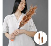 2 pezzi di spolverino per la casa, spolverino riutilizzabile con piume di pollo