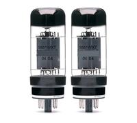 2 pezzi di tubi a vuoto 5881WXT / 6L6WC con adattamento di corrente -