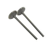 2 pezzi di valvola di aspirazione o 2 pezzi di valvola for CF Moto 500 X5 U5 CF188 X-Lander Rancher Goes 520 525 0180-022004 0180-022005(2PCS Inlet)