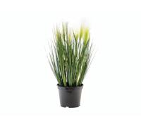 2 pezzi - Erba Decorativa EUROPALMS in Piuma Bianca, 60cm - Effetto Naturale, Va