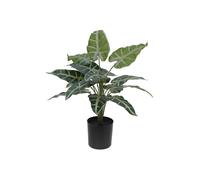 2 pezzi - EUROPALMS Caladio Pianta Artificiale 38 cm - Decorazione Verde Bianco