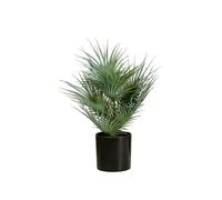 2 pezzi - EUROPALMS Palma a Ventaglio Artificiale 55 cm - Pianta Decorativa in P