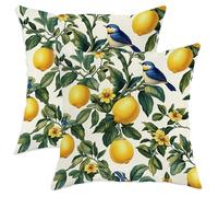 2 Pezzi Federe Copricuscini Fruit Botanical Vintage Bird Leaves Summer Yellow Fodere Cuscini Morbido Elegante Fodera per Cuscino Quadrato, per Divano, Auto, Letto, 45x45cm