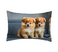 2 Pezzi Federe Copricuscini Pomeranians Puppies And Point Copri Cuscini Copricuscino, per Letto, Interni Ed Esterni, Auto, 40X60Cm