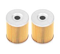 2 Pezzi Filtri Olio Motore 0800-011300 Sostituzione Accessori ATV per CF Moto CForce UForce ZForce