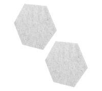 2 Pezzi Fonoassorbenti da Isolamento per Soffitti e Materiale Assorbente Leggero e Resistente