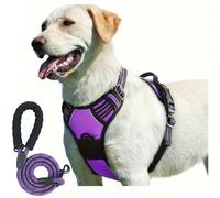 2 pezzi Imbracatura per cani riflettente e guinzaglio di 1,5 metri Imbracatura traspirante per animali domestici per cani di piccola, media e grande taglia e gatti Accessori per set di imbracatura e g