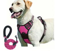 2 pezzi Imbracatura riflettente per cane e guinzaglio da 1,5 metri, Imbracatura traspirante per animali domestici adatta a cani di taglia grande, media e piccola, gatti, cuccioli, giubbotto pettorale