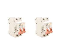 2 Pezzi Interruttore Magnetotermico Curva D 16A D16, Bipolare 2P 10kA, 2 Moduli DIN 220V AC, Certificato IEC60898-1, Serie Professionale PB8H