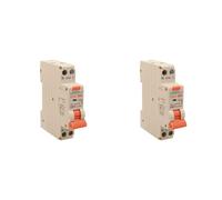 2 Pezzi Interruttore Magnetotermico Differenziale 1 Modulo 10A C10, RCBO Slim 1P+N 6kA 30mA 220V, Tipo A Curva C, Serie PL8HT Professionale