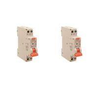 2 Pezzi Interruttore Magnetotermico Differenziale 1 Modulo 25A C25, RCBO Slim 1P+N 6kA 30mA 220V, Tipo A Curva C, Serie PL8HT Professionale