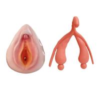 2 Pezzi Manichino Ginecologico Femminile Modello Combinato Vulva Modello Anatomico Umano Modello Didattico Medico per La Visualizzazione di Studio In Aula di Scienze