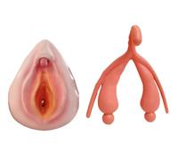 2 Pezzi Modello Femminile Ginecologico, Modello Combinato della Vulva, Modello del Sistema Riproduttivo per Studiare e Comunicare