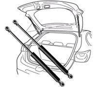2 Pezzi Molle a Gas Pistoncini per Kuga Escape 2013 2014 2015 2016 2017 2018 2019, Asta Portellone Bagagliaio Portellone Posteriore Ammortizzatori Supporti Sollevamento Supporto