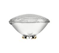 2 pezzi - OMNILUX PAR-56 12V/300W WFL: Lampada Alogena Dimmerabile per Piscine e