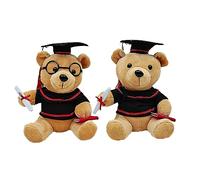2 Pezzi Orsacchiotto di Laurea con Occhiali,Peluche Orsacchiotto con Cappello di Dottorato Diploma e Toga di Laurea Simpatico Orsacchiotto di Peluche per Regalo della Scuola di Laurea (20 cm)