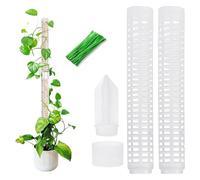 2 Pezzi Palo Muschiato per Piante Rampicanti - Bastone con Muschio e 20 Fascette - Supporto Tutore per Monstera, Filodendro, Edera e Piante da Interno ed Esterno (28,5 cm)