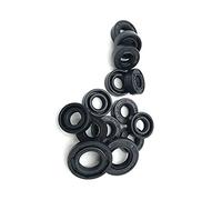 2 pezzi Paraolio Tc scheletro paraolio a doppio labbro paraolio Rotary, 35X48X6mm