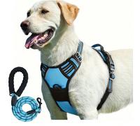 2 pezzi Pettorina riflettente per cane e guinzaglio di 1,5 metri, pettorina traspirante per cani e gatti di taglie grandi, medie e piccole, cuccioli e gattini, set di pettorina e guinzaglio per cammin