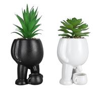 2 Pezzi Piscio Pistino con la Piantatrice di Ceramica Succulenta Artificiale Fa Falsa Fioriera Succulenta con Lattine SM Wate per Ufficio Camera da Letto Fallo Succulento PL Potfake Succulento