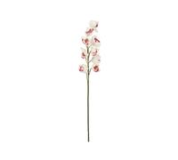 2 pezzi - Ramo Artificiale Cymbidium EUROPALMS Bianco-Rosa 90cm per Decorazioni
