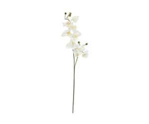 2 pezzi - Ramo di Orchidea Artificiale EUROPALMS, Crema-Bianco, 100cm - Decorazi
