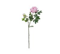 2 pezzi - Ramo di Peonia Artificiale EUROPALMS Premium 100cm Rosa per Decorazion