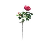 2 pezzi - Ramo di Peonia Magenta EUROPALMS 100cm - Pianta Artificiale Premium
