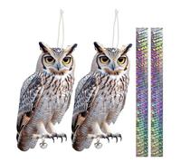 2 Pezzi Repellente Piccioni, Dissuasori Per Piccioni, Dissuasore Per Piccioni, Scaccia Piccioni, Cartone Gufo Scaccia Piccioni, Dissuasori Per Uccelli, Anti Piccioni Balcone, Allontana Piccioni