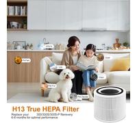 2 Pezzi Ricambio HEPA Core 300 Per Eurowagens Core 300 HEPA