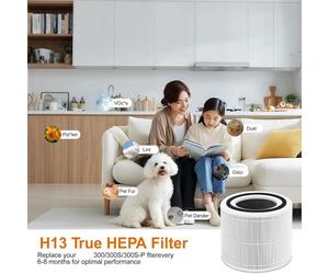 2 Pezzi Ricambio HEPA Core 300 Per Eurowagens Core 300 HEPA