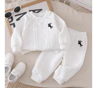 2 pezzi Set di maglietta con ricamo di cavallo e pantaloni con vita elastica in maglia a treccia, comodo e casual, adatto per il periodo di transizione primavera/autunno, per uso quotidiano 6-9M,9-12M