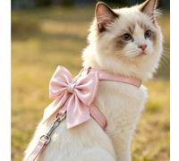 2 pezzi/Set Pettorina e guinzaglio stile fiaba rosa con fiocco, set leggero per uso esterno, design a X con fiocco decorativo, adatto per tutte le stagioni, adatto per cani e gatti di taglia piccola e