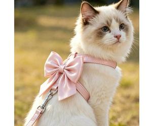 2 pezzi/Set Pettorina e guinzaglio stile fiaba rosa con fiocco, set leggero per uso esterno, design a X con fiocco decorativo, adatto per tutte le stagioni, adatto per cani e gatti di taglia piccola e