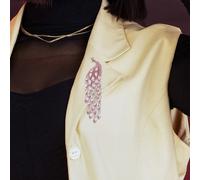 2 pezzi spilla pavone vestiti spilla cappello spilla spilla scialle spilla